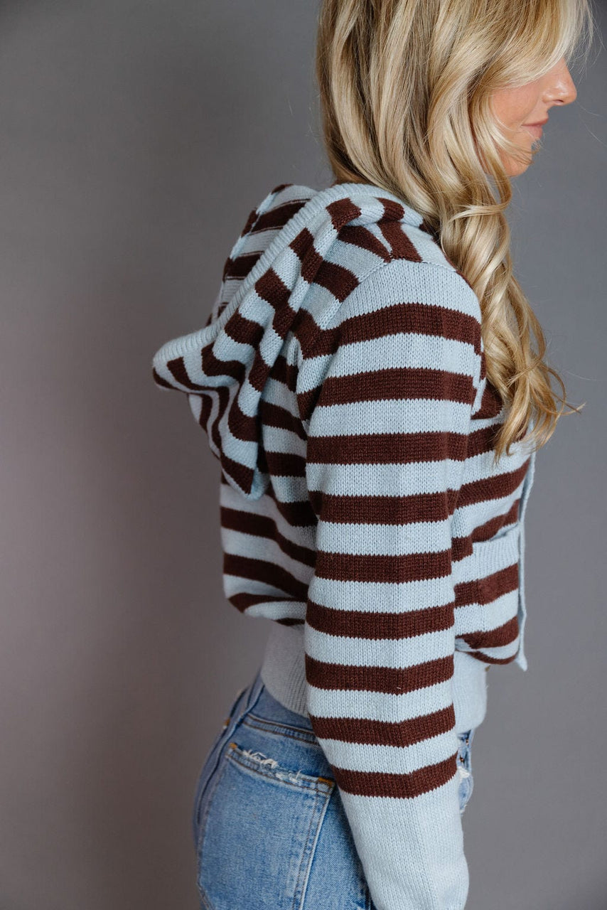 Princeton Cardigan Hoodie in Blue/Brown