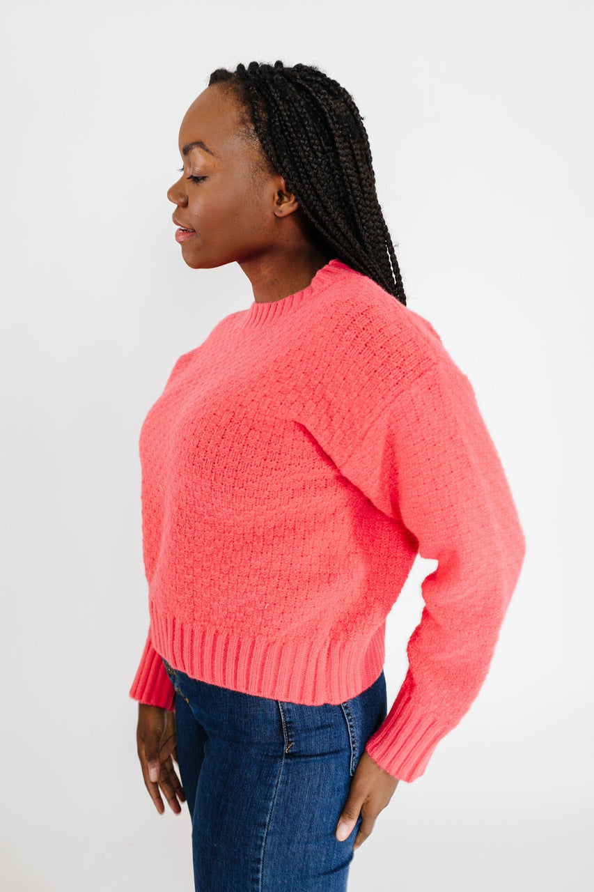 Robyn Sweater in Teaberry