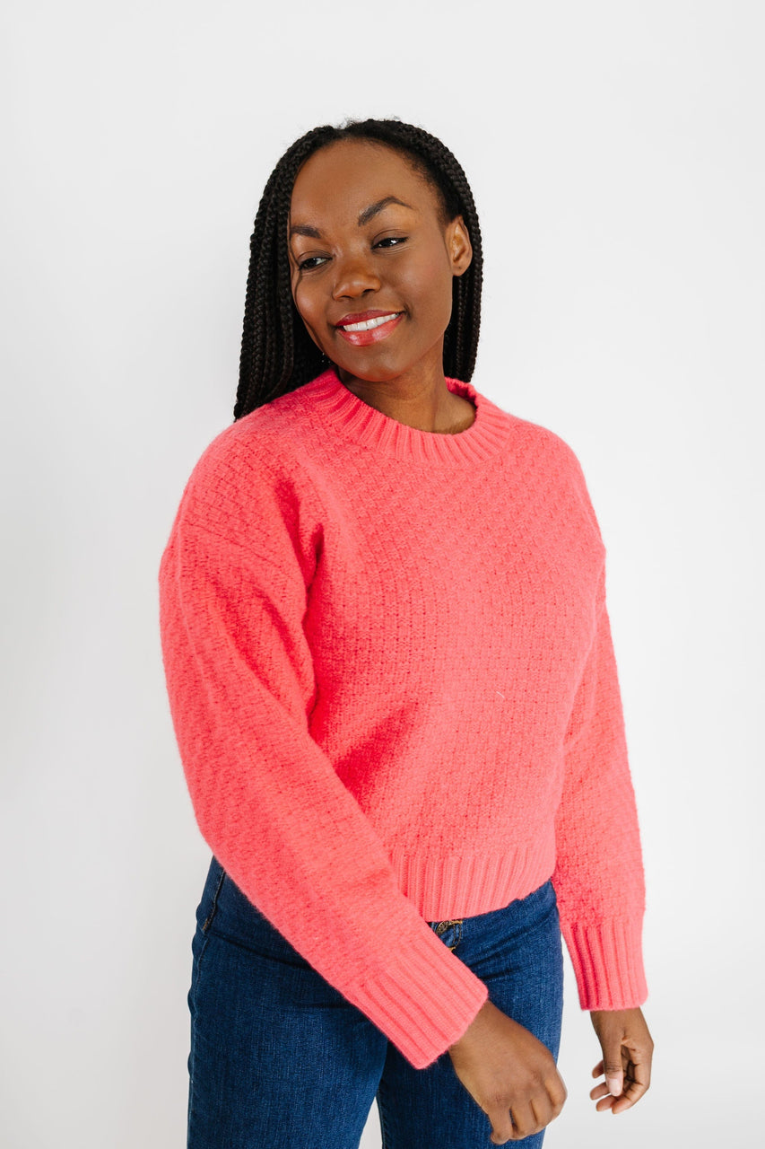 Robyn Sweater in Teaberry